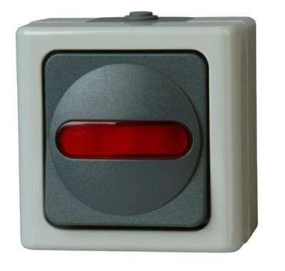 Kopp 561656007 BlueElectric Compleet Controleschakelaar spatwaterdicht Grijs 1 stuk(s)