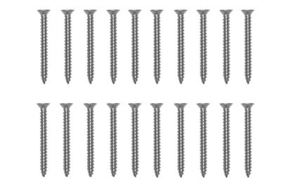 Platinum | Schroeven 20x | RVS