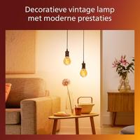 Philips 8721103048912 LED-lamp E14 Spiraal 2.7 W = 15 W Barnsteen 1 stuk(s) - thumbnail