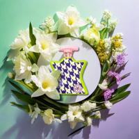 Uniseks Parfum Bond No. 9 Central Park West EDP 100 ml - thumbnail