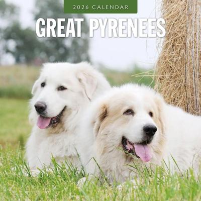 Pyreneese Berghond Kalender 2026