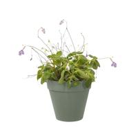 Elho Loft Urban wall single pot 15cm groen - thumbnail