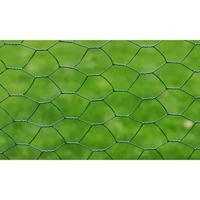 VidaXL Draadgaas zeshoekig 1x25 m staal donkergroen - thumbnail