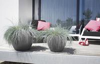 elho pure soft round 50 Binnen/buiten Plantenpot Vrijstaand Lineaire lagedichtheidpolyetheen (LLDPE) Wit - thumbnail