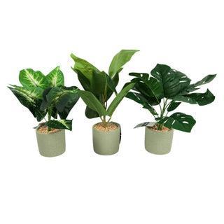 Kunstplant in cementen pot 40 cm 3 assorti | 12 stuks