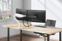 Neomounts ds75s-950wh2 full-motion desk mount, 2x 17" - 27", 8 kg, 100x100 mm, black - thumbnail