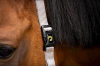 Excellent Horse Superior Halster XS Mini Foal Grijs - thumbnail