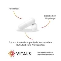 Vitals Cordyceps Biologisch Capsules - thumbnail