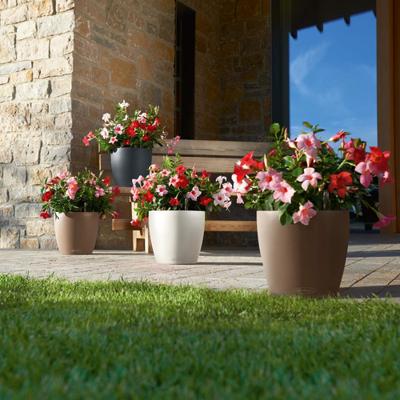 Jardiniere - Classico kleur 28 - Complete set - Wit - 9 L - LECHUZA