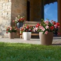 Jardiniere - Classico kleur 28 - Complete set - Wit - 9 L - LECHUZA - thumbnail