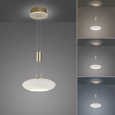 Paul Neuhaus Design hanglampQ-Etienne messing - 2075-60