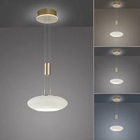 Paul Neuhaus Design hanglampQ-Etienne messing - 2075-60 - thumbnail