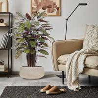 Baq Raindrop Bowl Beige, 55x26cm - thumbnail