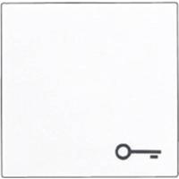 Jung A590TWW Knop Inzetstuk 1-voudig Alpine-wit 1 stuk(s) - thumbnail