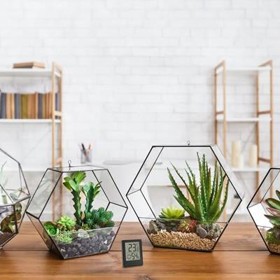 TFA Dostmann Digitales Thermo-Hygrometer 30.5039.01.03 Thermo- en hygrometer Zwart