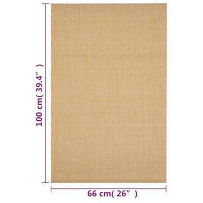 VidaXL Vloerkleed 66x100 cm natuurlijk sisal