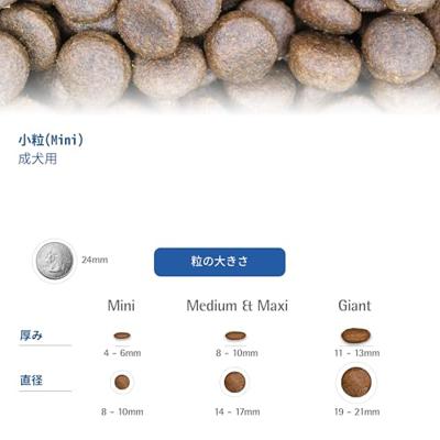 FARMINA N&D Quinoa Dog Weight Management Lamb Adult Mini - droog hondenvoer - 2.5 kg