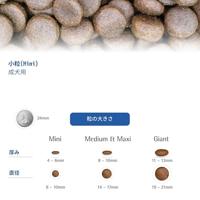 FARMINA N&D Quinoa Dog Weight Management Lamb Adult Mini - droog hondenvoer - 2.5 kg - thumbnail