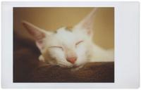 Lomography Lomo Instant Automat South Beach - thumbnail