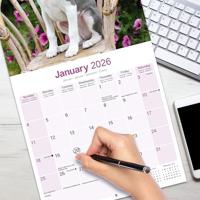 Whippet Kalender 2026 - thumbnail