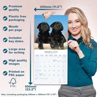 Labrador Retriever Zwart Puppies Kalender 2026 - thumbnail