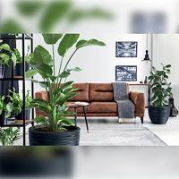 Prosperplast Bloempot Furu (Lichtgrijs, 445x569) - thumbnail