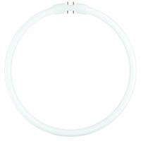 Osram Lumilux T5 Circulair FC 40W - 840  | 30cm - thumbnail