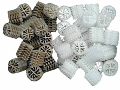 Biocarrier type helix