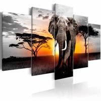 Schilderij - Olifant voor Zonsondergang , grijs oranje , 5 luik, premium print op echt Italiaans canvas, dieren, Wanddecoratie - thumbnail