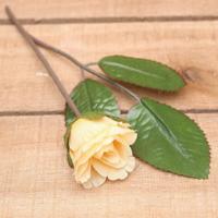 Bonbon doosjes - Chocolade doosje - Roos beige - 24 stuks - thumbnail