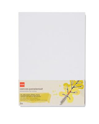 HEMA Canvas panelenset A4 - 5 stuks