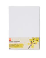 HEMA Canvas panelenset A4 - 5 stuks - thumbnail