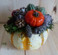 Herfst decoratie herfst deco stukje gemaakt van sierkallebassen Warentuin Natuurlijk - Warentuin natuurlijk - thumbnail