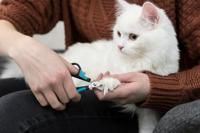 Trixie nagelschaar - thumbnail