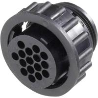 TE Connectivity 182642-1 CPC busbehuizing met wartelmoer - thumbnail