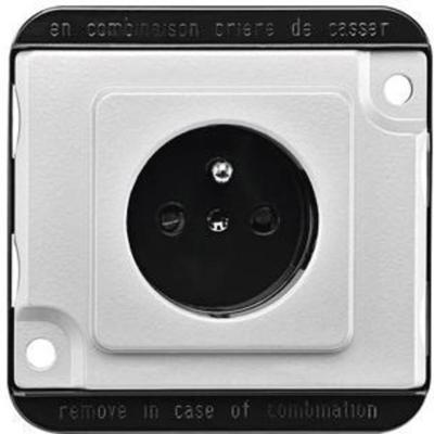 Merten MEG2500-7060 Wandcontactdoos met randaarde Inzetstuk Zilver 1 stuk(s)