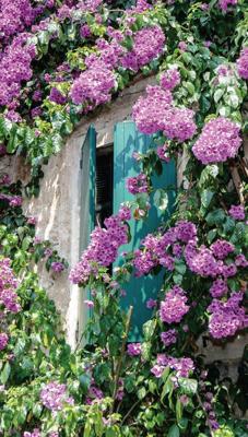 Bloemen luiken 70x130cm Tuinschilderij Customize-it - Customize it