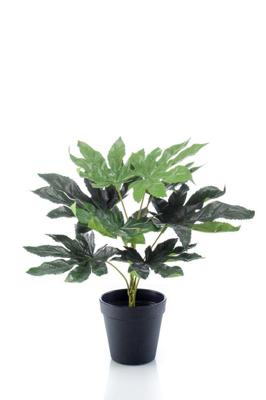 Fatsia in plastic pot 30 cm/9 lvs kunstplant Emerald - Emerald Fatsia in plastic pot 30 cm/9 lvs kunstplant Emerald - Emerald
