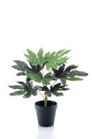 Fatsia in plastic pot 30 cm/9 lvs kunstplant Emerald - Emerald - thumbnail