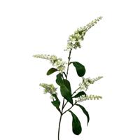 Roberts Collection Kunsttak lupin spray 95cm wit - thumbnail