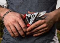 Felco Snoeischaar | totale lengte 210 mm | snijvermogen 25 mm | gewicht 245 g | 1 stuk - Felco 8 Felco 8 - thumbnail