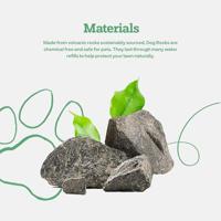 DOG ROCKS - thumbnail