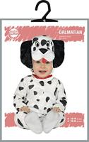 Dalmatier Pakje Baby/Dreumes - thumbnail