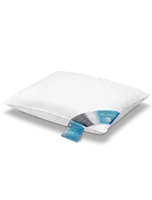 Vandyck Pure Nature Kussen 60x70 - thumbnail