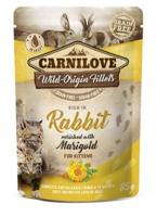 CARNILOVE POUCH RABBIT 24X85 GR - thumbnail