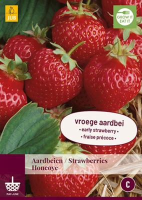 Aardbeienplanten Honeoye