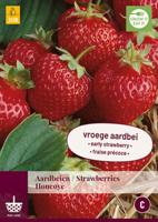 Aardbeienplanten Honeoye - thumbnail