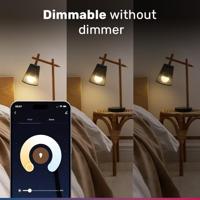 Smart E14 lamp - P45 lamp - 5,5 Watt 470 lumen - RGBWW - Wifi & Bluetooth - Bestuurbaar via app - Google Home, Amazon Alexa en Siri - Smart lamp - thumbnail