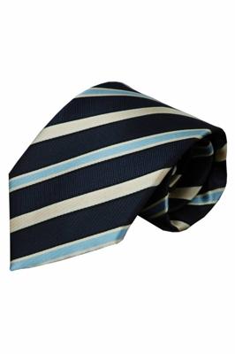 Alberto Vincelli Blauwe zijden stropdas Penne 01