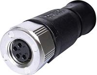 Conec 42-00008 Sensor/actuator connector, niet geassembleerd M8 Aantal polen (sensoren): 4 Bus, recht 1 stuk(s) - thumbnail